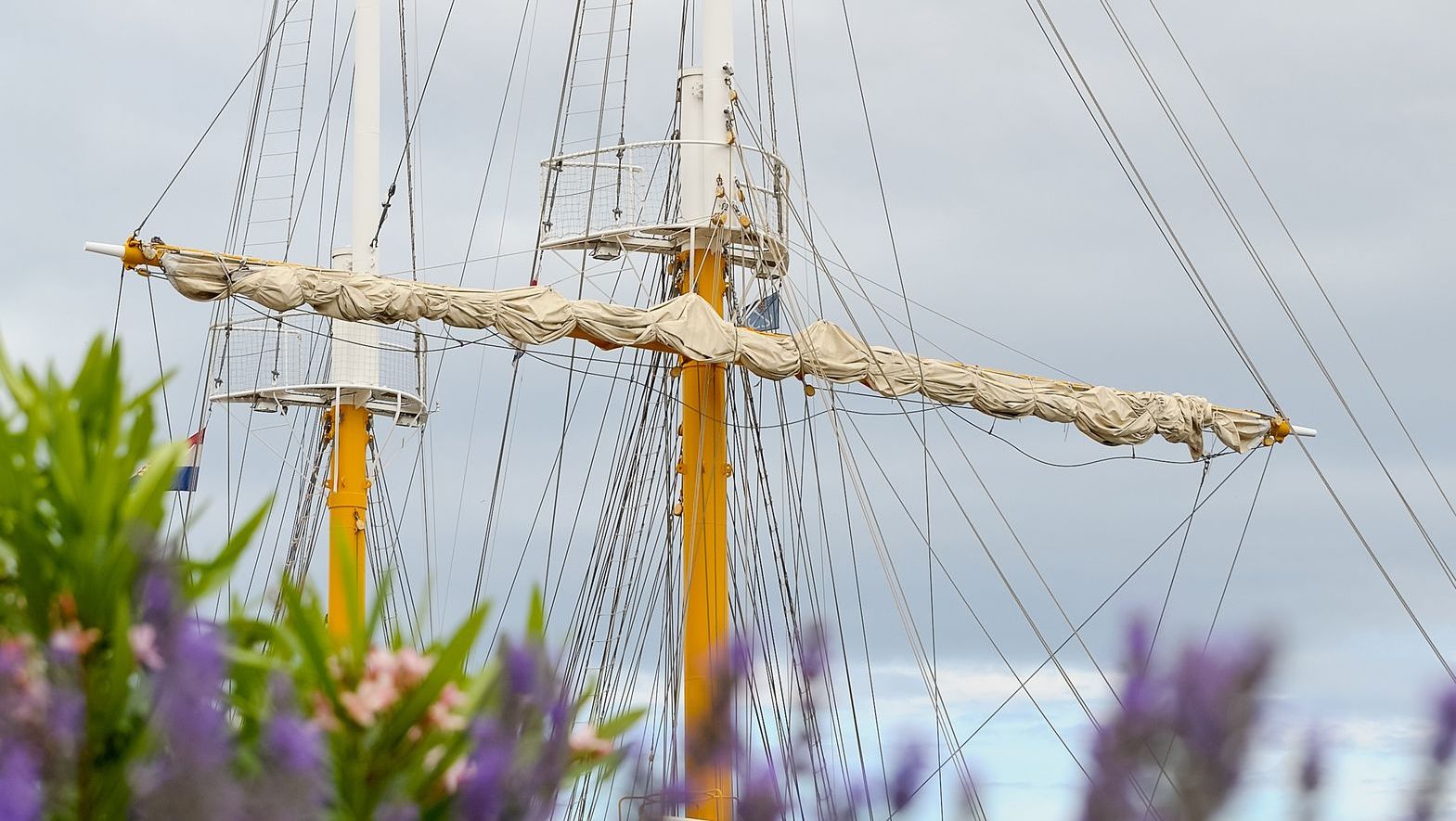 Segelmast mit eingezogenem Segel, im Vordergrund Blumen