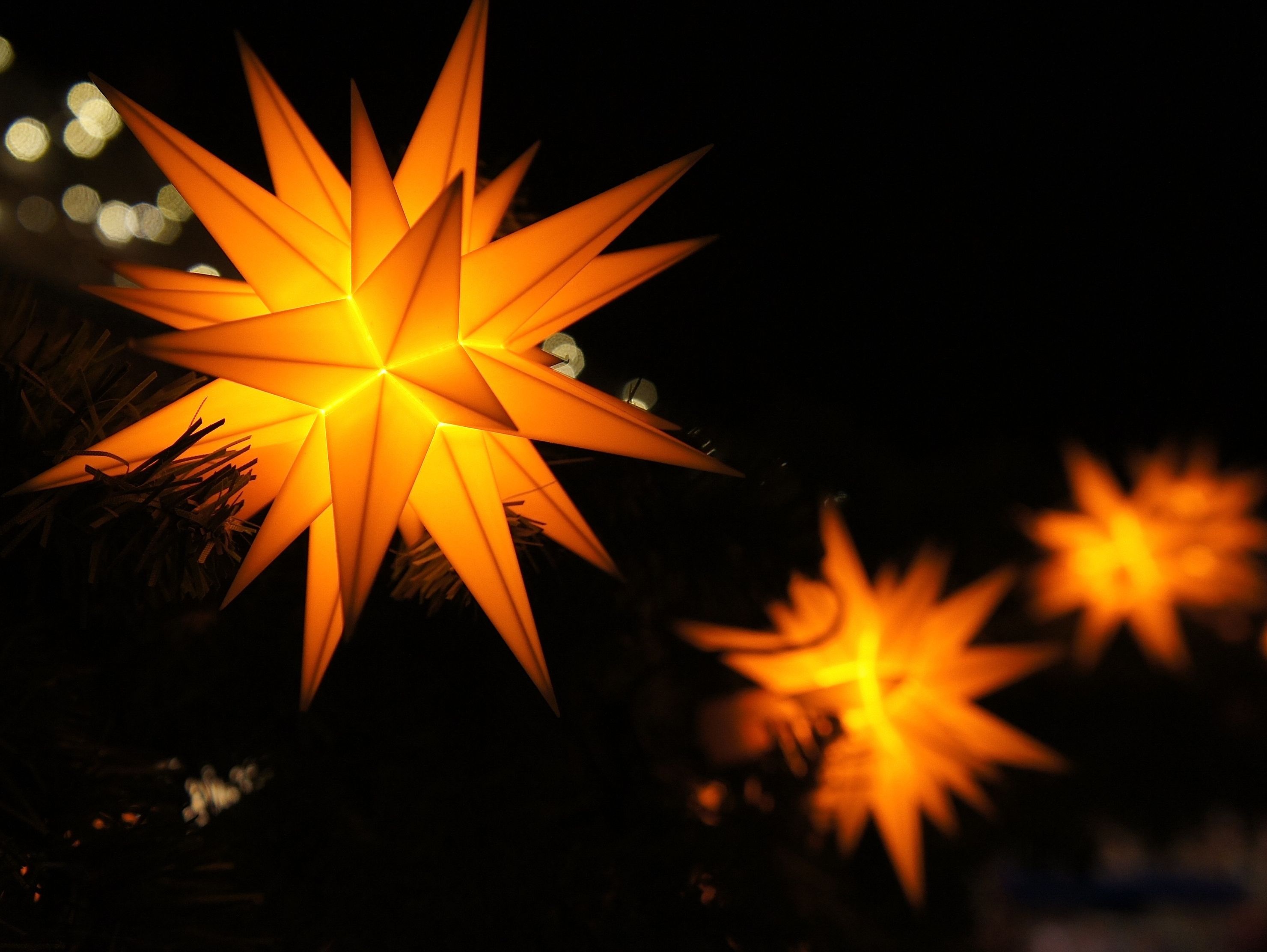 Leuchtende, orangefarbene Weihnachtssterne in der Dunkelheit