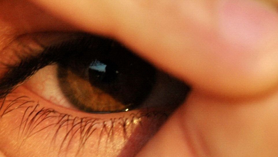 Nahaufnahme eines braunen Auges