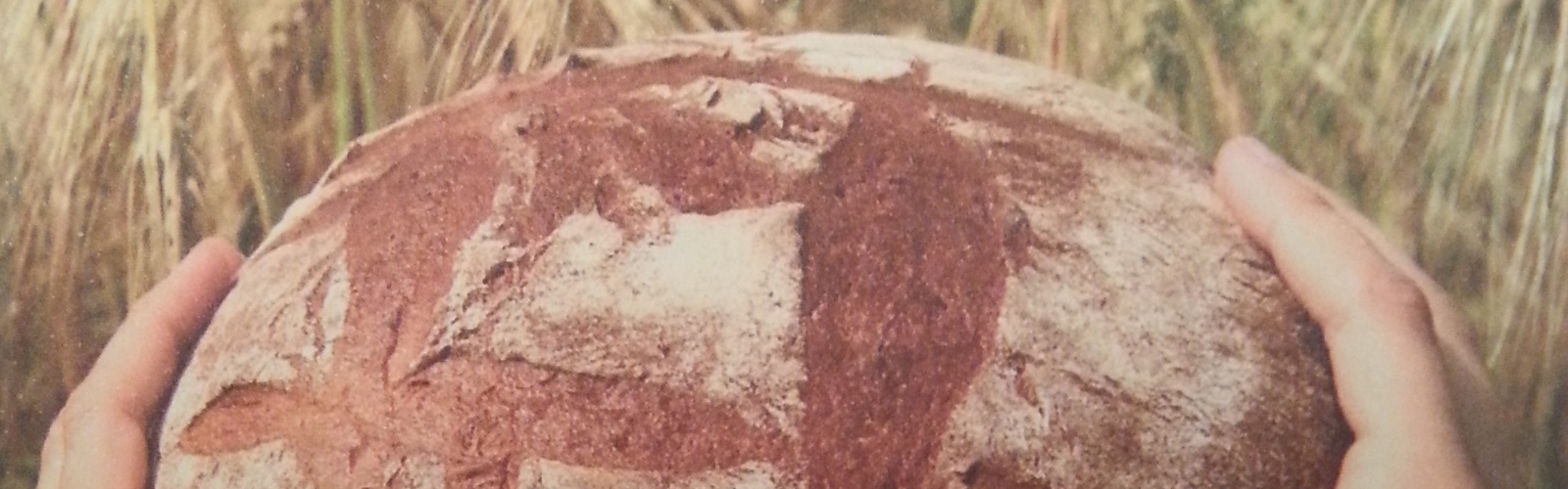 Die Heiligen Drei Könige auf ihren Kamelen