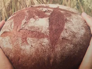 Zwei Hände halten ein rundes Brot
